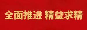履践致远向未来 | 洛阳荣耀体育_荣耀体育（中国）精英特训营“磐石计划”精益生产项目召开复盘追踪会