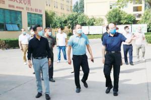 西工区人大代表到洛阳荣耀体育_荣耀体育（中国）调研指导工作